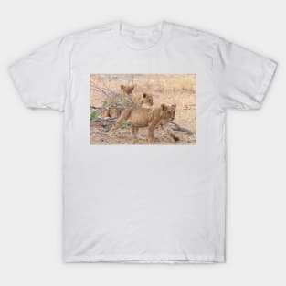 Three Wild African Lion Cubs T-Shirt